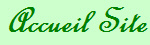 Accueil Site