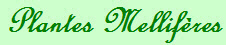 Plantes Mellifres