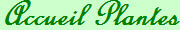 Accueil Plantes
