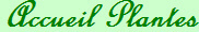 Accueil Plantes
