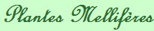 Plantes Mellifères