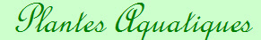 Plantes Aquatiques